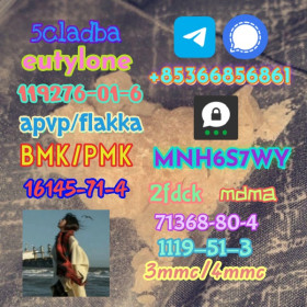 Brand new bmk/pmk factory direct sale raw material
