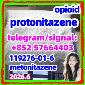 Cas 119276-01-6 Protonitazene (Hydrochloride)