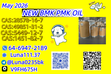 Ethyl Glycidate 28578-16-7 New PMK Power Trier