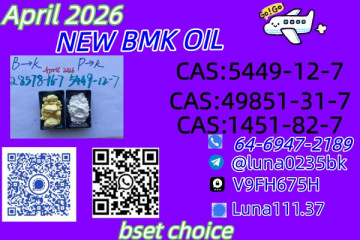 Ethyl Glycidate 28578-16-7 New PMK Power Trier