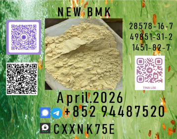 p.m.ktrustworthy supplier