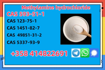 Experienced Supplier CAS 593-51-1 High Quality Best Price Fast Delivery