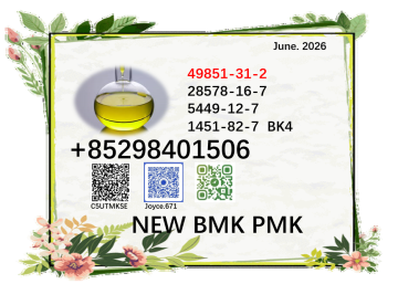 BMK CAS 5449-12-7 supplied 28578-16-7 for selling