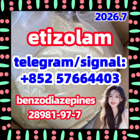etizolam 40054-69-1