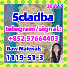 5cladba 5cl yellow powder 5cladba from best supplier