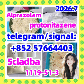 Strongest 5cladba raw material 5CL-ADB-A precursor powder and liquid