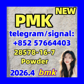 PMK ethyl glycidate (NSC 195099, CAS Number: 28578-16-7)