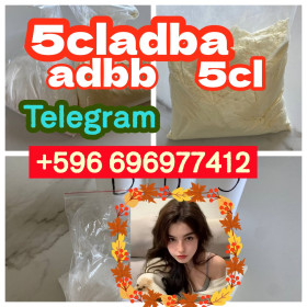 5CL-ADB supplier 5cladba 5cladb