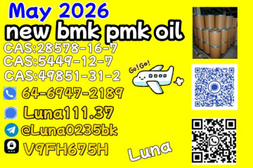 Ethyl Glycidate 28578-16-7 New PMK Power Trier
