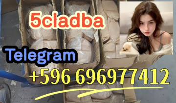 5CLADBA 5cl adba 5cladba