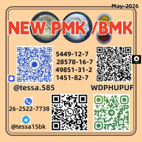 Custom Synthesis Supplier Factory Direct