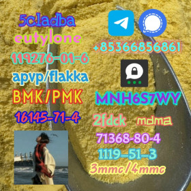 Brand new bmk/pmk factory direct sale raw material