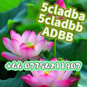 5cladba raw material 5cl-adb-a precursor raw 5cladba 5f adb