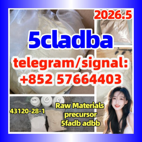 5cladba raw material 5CL-ADB-A precursor  现货