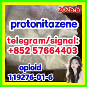 CAS 119276-01-6 Protonitazene