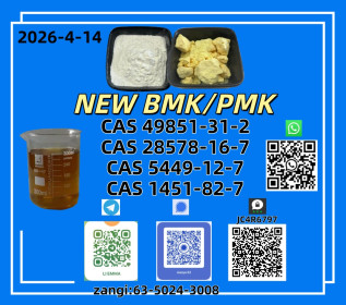 NEW BMK/PMK CAS 49851-31-2 CAS 28578-16-7In Stock