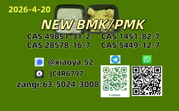 NEW BMK/PMK CAS 49851-31-2 CAS 28578-16-7In Stock