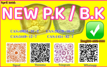 BMK Glycidic Acid (sodium salt) 5449-12-7