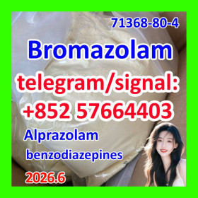 Cas 71368-80-4 Bromazolam 99.8% white powder