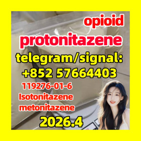 119276-01-6 Protonitazene Hydrochloride Seller China,