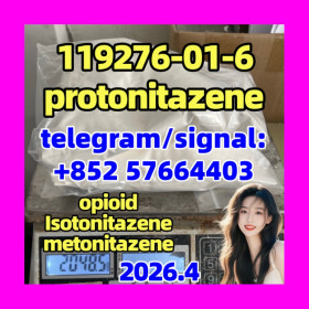 CAS: 119276-01-6 protonitazene opioid supplier yellow powder in stock