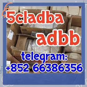 少夫人反对法 5cl adb 5cladba 5cl raw materials