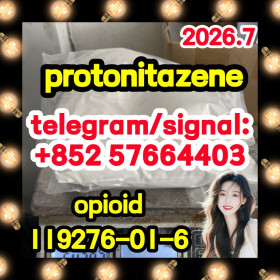 119276-01-6 Protonitazene (hydrochloride) - HEBEI