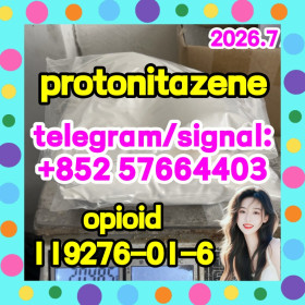 cas 119276-01-6 protonitazene (hydrochloride)