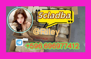 5cl-adb 5cladba 5cl-adb- Quick home deliv35