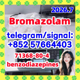 Cas 71368-80-4 Bromazolam 99.8% white powder