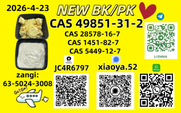NEW BMK/PMK CAS 49851-31-2 CAS 28578-16-7In Stock