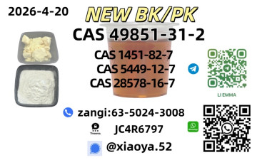 NEW BMK/PMK CAS 49851-31-2 CAS 28578-16-7In Stock