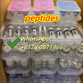 Selank cas: 129954-34-3 Retatrutide cas: 2381089-83-2