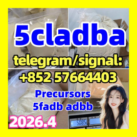 Raw materials ADBB adb-butinaca ADBA Cas2682867-55-4 5cladba
