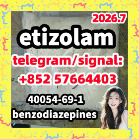 etizolam 40054-69-1