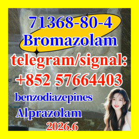 High quality cas.71368-80-4 Brozolam
