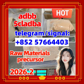 safe delivery 5cladba Yellow Cannabinoid Powder 5CLadbb 5fadb CAS 2709672-58-0