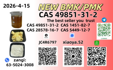 NEW BMK/PMK CAS 49851-31-2 CAS 28578-16-7In Stock