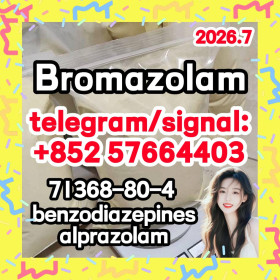 bromazolam,cas:71368-80-4,Top supplier
