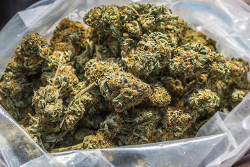 WhatsApp +1(601) 205-1714 Where to buy marijuana in Dubai Ajman Abu dhabi Shajar Unied Arab Emirates