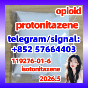 Protonitazene hydrochloride cas 119276–01–6 powder 现货