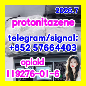 Protonitazene CAS 119276-01-6 |