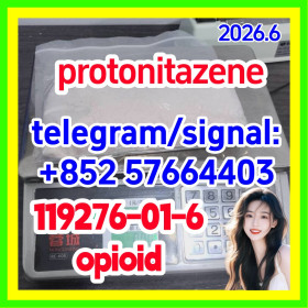 CAS 119276-01-6 Protonitazene