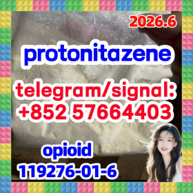 cas-119276-01-6-protonitazene