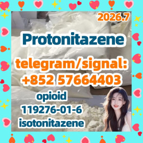 CAS: 119276-01-6 Protonitazene (hydrochloride)