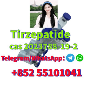 Tirzepatide 2 Mg5mg10mg Tested High Quality Fast Delivery