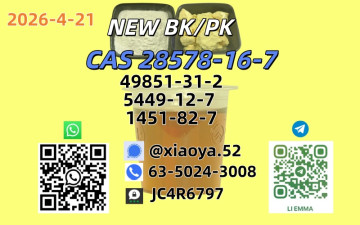 NEW BMK/PMK CAS 49851-31-2 CAS 28578-16-7In Stock