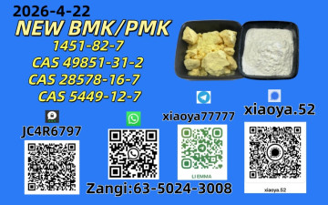 NEW BMK/PMK CAS 49851-31-2 CAS 28578-16-7In Stock