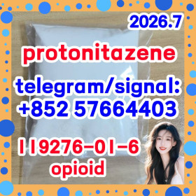119276-01-6 /Protonitazene