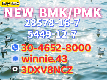 Best Value 1451 - 82 - 7 bk4 49851 - 31 - 2 In Stock